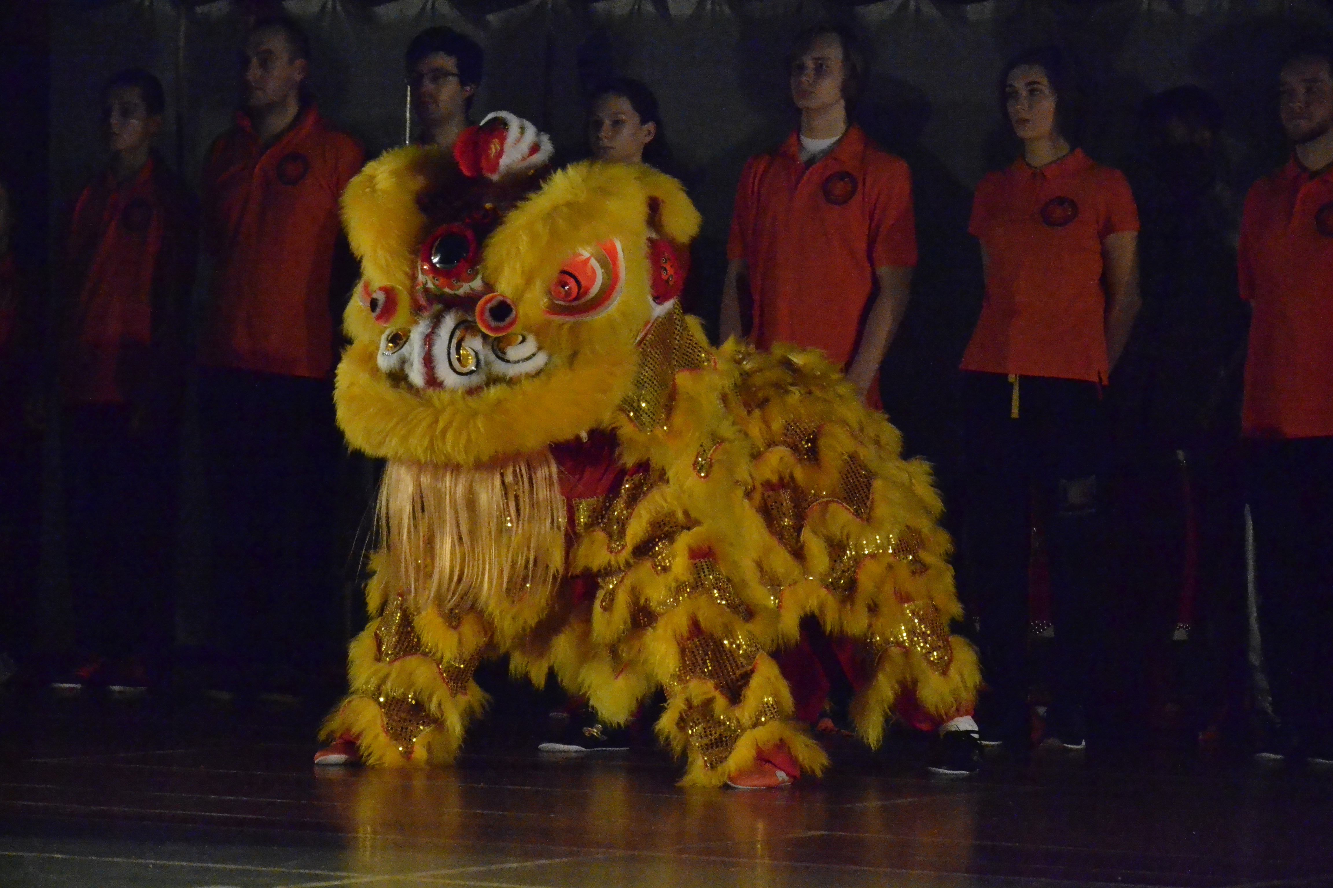 IV WUSHU SHOW - Pokazy chińskich sztuk walki Kung Fu / Wushu szkoły Złoty Lew (25.11.2017)